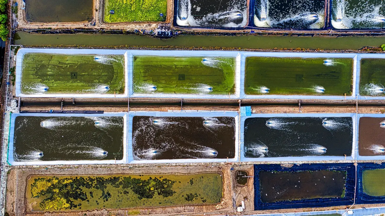 Aquaculture and water systems
